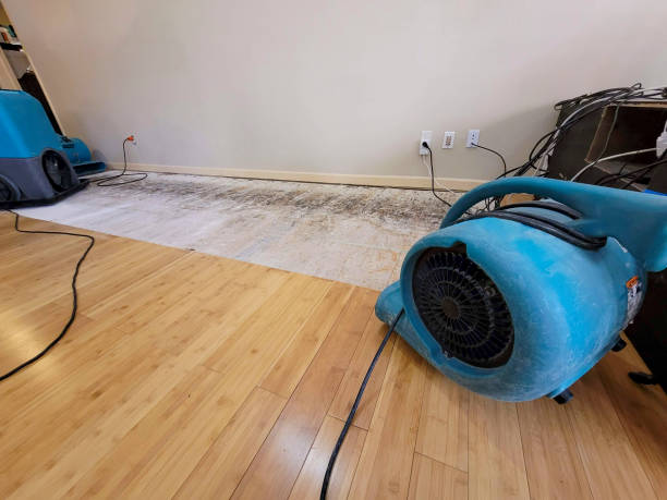 Reliable Crawl Space Water Removal contractor in Petersburg, VA by Hirex Water Damage