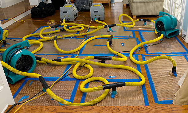 Professional Crawl Space Water Removal technician working in Petersburg, VA